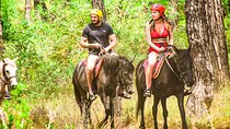 Horse Riding around Titreyengol and Sorgun Pine Forest from Side