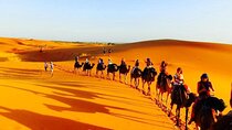 Enjoy Luxury camp 1 nights .camel Drums sandboarding.QUADS