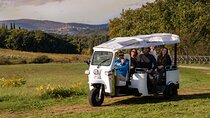 Wine Tuk Tour Siena
