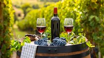 Private Top Award-Winning Cape Wine Tasting Full Day Tour