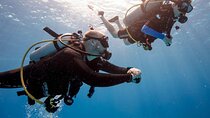 Discover Scuba Diving in Montego Bay-TWO Tank (First time Diving)