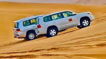 Desert Safari Dubai Red Dunes Safari With Live BBQ Buffet Dinner