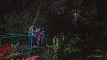 Ecogarden Arenal Night Walk 
