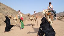 Hurghada Desert Safari: Jeep, Quad Bike, Camel Ride & BBQ Dinner 