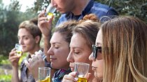 Bio Farm Private Olive Oil Tasting, Farm to Fork Meal & Temple of Poseidon Tour
