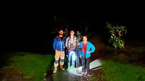 Night walk among the natural jewels of Monteverde