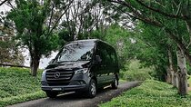 Luxury Mini Bus - Sydney Airport Transfers