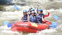 Bali Rafting with Tegalalang Rice Terrace Jungle Swing Ubud