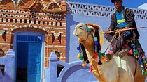 Trip To Nubian Village by motorboat From Aswan