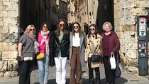 Full-Day Car Tour Siena San Gimignano and Chianti from Florence