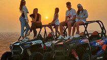 Desert Safari with 30 Minutes Dune Buggy Camel, Dinner, Shows