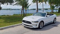 French tour of Miami in convertible mustang