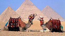  Full Day Bus Trip to Cairo & Lunch Tickets included From Sharm