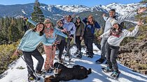 Half Day Snowshoe Hike in Tahoe National Forest