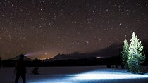 Tahoe National Forest Moonlight Snowshoe Tour Under a Starry Sky