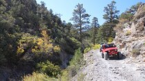  Red Rock Canyon Half Day Jeep Tour Offroad Adventure 
