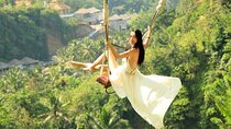 Bali Swing Tours Package 