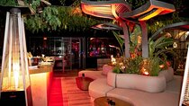 Marbella Private Puerto Banus Night Life Walking Tour