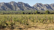 Les Baux de Provence : Wine day Tour : 7 hours 