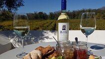 Cape Town Private Tour- Stellenbosch Winelands Full Day 