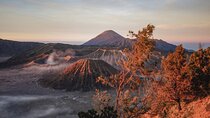 From Surabaya: Mount Bromo Sunrise Private Day Trip