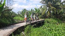 Non touristy - Lunch at Local House - A Day to Mekong with Biking