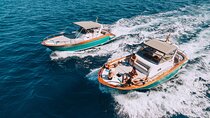 Amalfi Coast Private Boat Tour from Sorrento, Positano or Naples