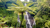 Banyuwana & Banyumala Waterfalls Tour (Private & All-Inclusive )