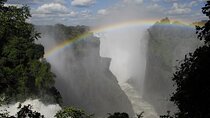Private Guided Tour of Rain Forest Victoria Falls