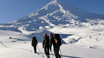 Guided ascent of Llaima volcano from Pucón