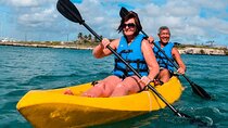 Private Aruba Kayak & Snorkeling Tour + Transortation
