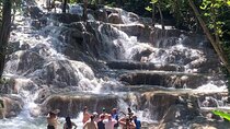 Dunn's River Falls, Zipline Adventure from Kingston