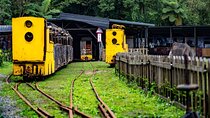 Private Taiwan Gold and Coal History Day Tour to Jiufen and Pingxi