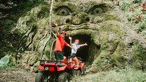 Bali Quad Bike and White Water Rafting Inclusive Private Transfer