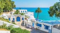 Private tour: Medina,Carthage ,Sidi Bou Said, Bardo Museum+lunch
