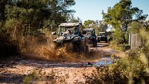 Buggy 2-seater and 4-seater Off-On Road Tour in Mallorca