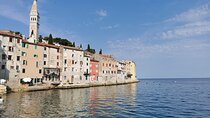 Full-Day Shore Excursion to Istria From Opatija or Rijeka