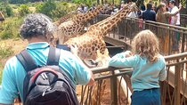 Private Tour in Giraffe Centre and Bomas of Kenya