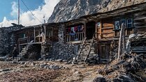 8 Days Tour in Langtang Valley Trek