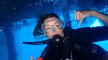 Full Day Experience Fun Dive in Tulamben 