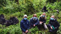 7 Days Rwanda Royal Tour with Gorillas, Chimpanzees, Culture, and Lakes