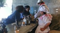 Medellin Barista Workshop in a Colombian coffee farm