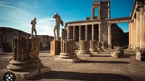 Private and Guided day in Pompeii and Vesuvius from Naples