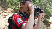 Birding Costa del Sol Day tour