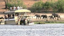 Chobe Day Trip 