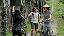 Cycling Tour in Yogyakarta with Lunch 3-Hour