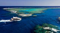 Marsa Alam: Magical Sataya Dolphin Reef Trip with Lunch, Transfer