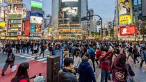 Tokyo 7-Hour Free Choice Tour