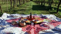 Lucca: self-guided bike tour + picnic in the vineyards