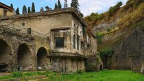 Private Pompeii and Herculaneum Tour by Car